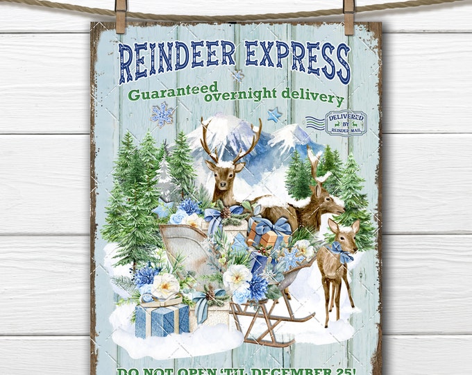 Christmas Reindeer Express Santa Mail Sleigh Winter Blues  DIY Sign Making Fabric Transfer Xmas Printable Wreath Accent Digital Download PNG