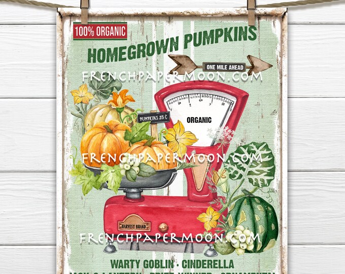 Farmhouse Pumpkins, Red Kitchen Scale, Homegrown, Organic Pumpkins, DIY Fall Sign, Home Decor Sign, Digital, PNG, Image Transfer