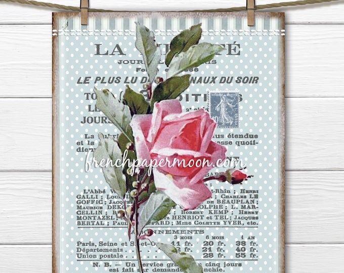 Shabby Pink Rose Digital, Victorian Rose, French Rose Graphic, Catherine Klein, French Pillow Image, Fabric Transfer, Rose Printable