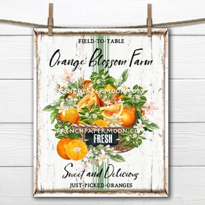 Farmhouse Summer Oranges, Orange Blossom, Fruit, Digital, DIY Oranges Sign, Fabric Transfer, Pillow Image, Wreath Decor, PNG, Tiered Tray