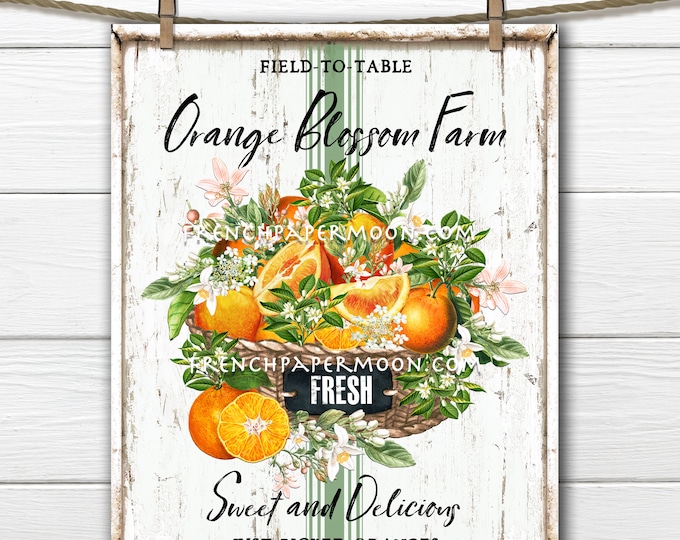 Farmhouse Summer Oranges, Orange Blossom, Fruit, Digital, DIY Oranges Sign, Fabric Transfer, Pillow Image, Wreath Decor, PNG, Tiered Tray