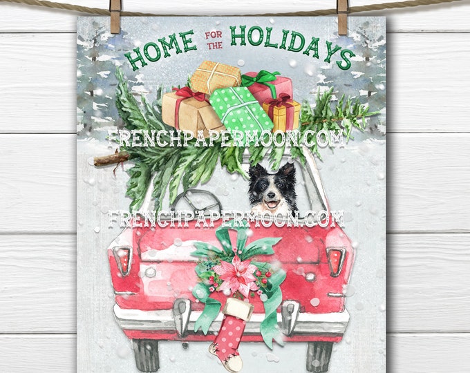 Christmas Dog Printable, Presents, Border Collie, Xmas Tree, Home for the Holidays, Snowy Scene, Fabric Transfer, Sublimation, Xmas Print