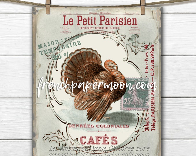 Shabby Thanksgiving Vintage Turkey, French Turkey, Printable Instant Download, French Graphics, French Pillow Image, Holiday Crafts