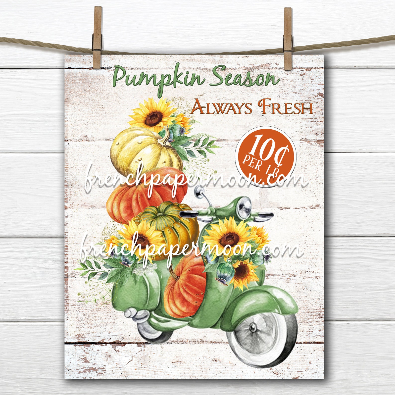 Pumpkin Scooter Digital Sunflowers Pumpkin Delivery Pumpkin Etsy