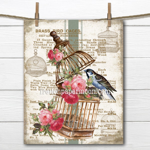 Vintage Bird Cage, Shabby Floral Brass Bird Cage, Roses, Bird, Advertising, Bird Pillow Image, Transparent, Bird-lover, Digital Graphic