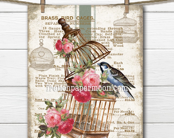 Vintage Bird Cage, Shabby Floral Brass Bird Cage, Roses, Bird, Advertising, Bird Pillow Image, Transparent, Bird-lover, Digital Graphic