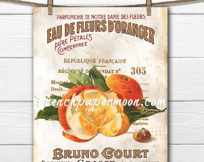 Shabby Botanical Oranges, French Orange Graphic, Vintage Fruit Print, Kitchen Decor, French Pillow Image, Sublimation, Crafts, Transparent