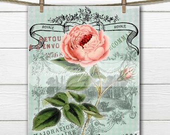 Rosa digital francesa, descarga de rosa shabby chic, gráfico de transferencia de rosa francesa para almohada, planchado sobre tela, transferencia de rosa