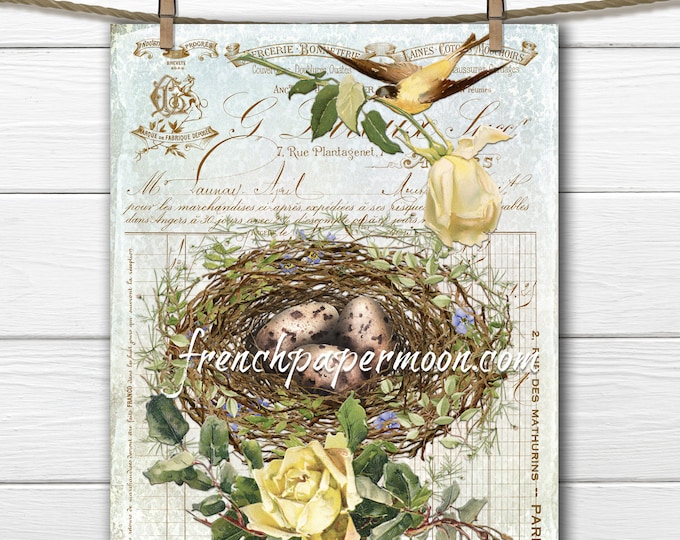 Bird Nest Printable, Shabby Roses, Vintage Bird, French Pillow Image, Spring Bird Graphic, Sublimation, Transparent, PNG, Crafts