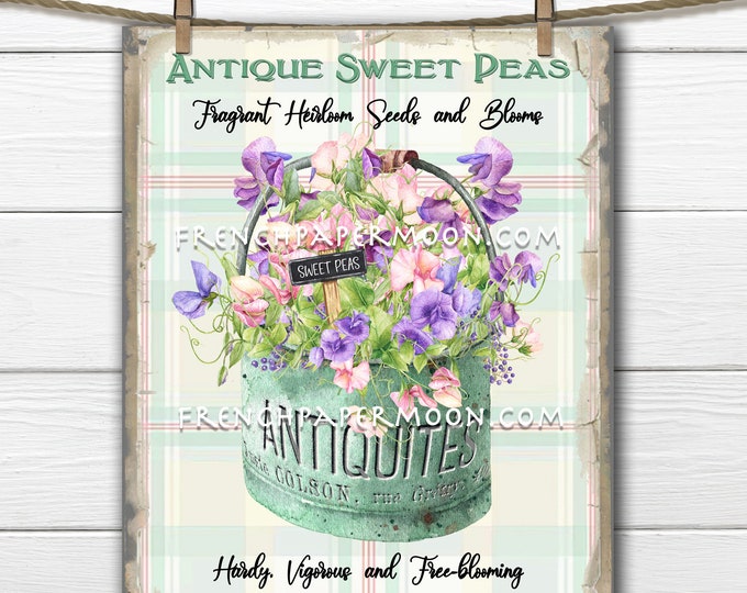 Farmhouse Sweet Peas, Digital, Spring Seeds, Seed Package,  DIY Floral Sign, Wreath Decor, Wreath Accent, Pillow Image, Cards PNG