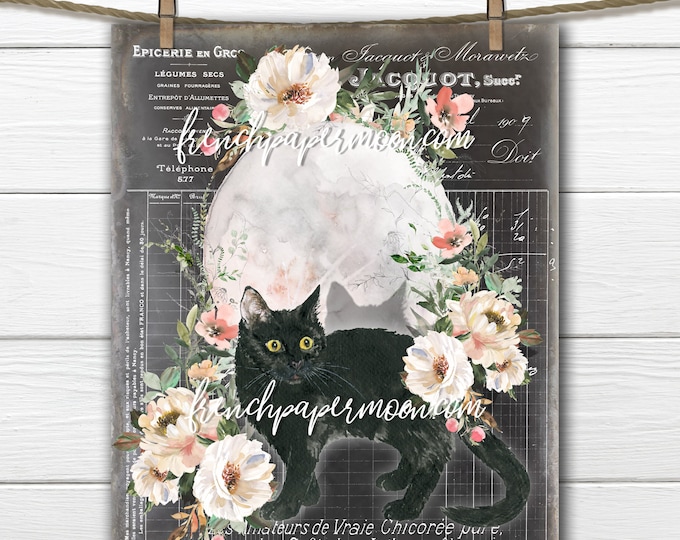 Shabby French Black Cat, Halloween Digital, Harvest Moon, Peonies, French Pillow Graphic, Fabric Transfer, DIY Fall Sign, Sublimation, PNG