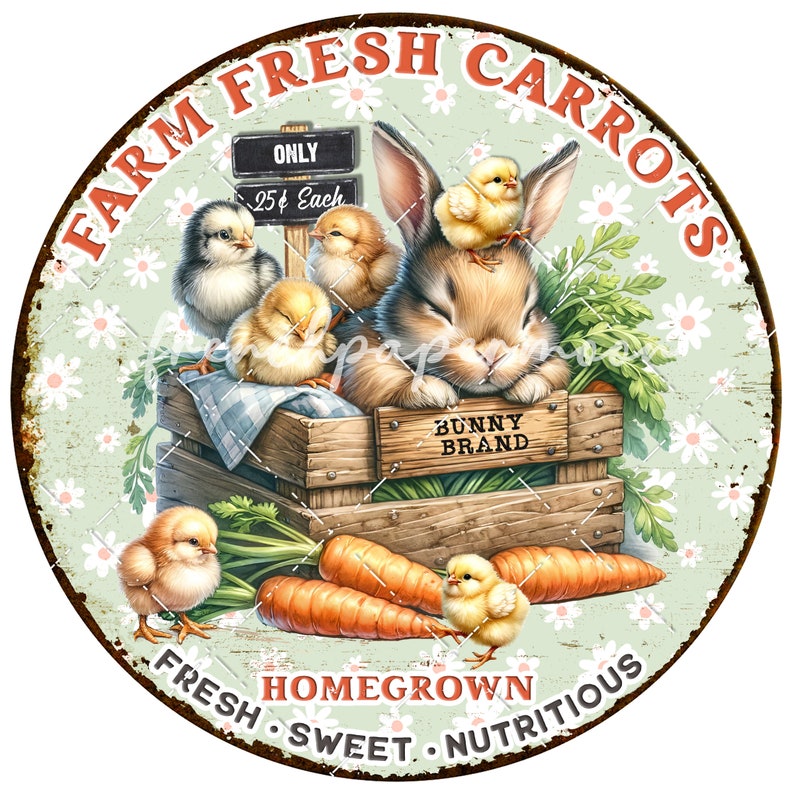 May include: A round metal sign with a green background and white daisies. The sign says "Farm Fresh Carrots" in orange letters. A sleeping bunny rabbit is in a wooden crate with baby chicks. The crate says "Bunny Brand" and the sign says "Homegrown Fresh Sweet Nutritious".