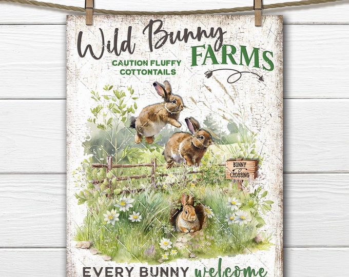 Bunny Crossing Wild Rabbit Farm Spring Meadow Bunny Burrow DIY Sign Making Fabric Transfer Tiered Tray Home Decor Print Digital Download PNG