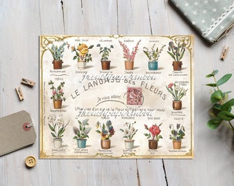May include: Vintage French language of flowers chart with illustrations of various flowers in pots. The chart includes the French name of each flower and its meaning. The text reads "Le Langage des Fleurs" (The Language of Flowers).