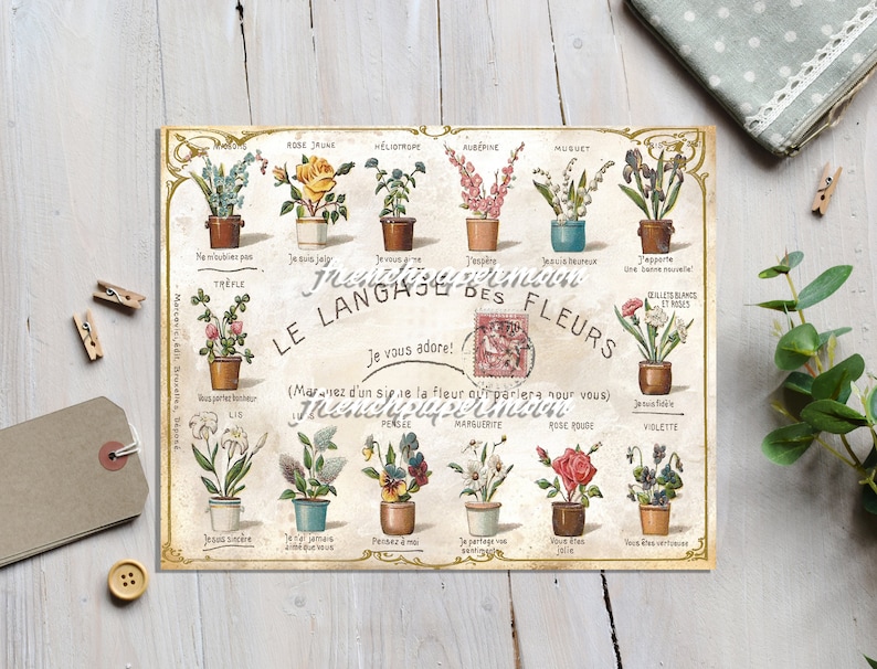 Digital Antique French Graphic The Language Of Flowers Language De Fleurs Printable Vintage Flowers