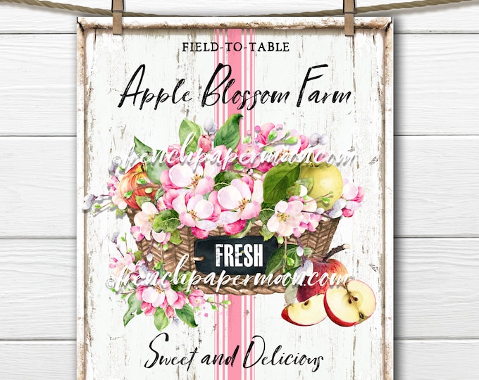 Modern Farmhouse Apples, Apple Blossom, Fruit, Digital, DIY Apple Sign, Fabric Transfer, Pillow Image, Wreath Decor, Wood, PNG, Tiered Tray