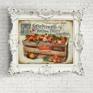 May include: A vintage advertisement for a fruit grower, featuring a crate of peaches and the text "Everything for the Fruit Grower. Catalogue 1896."