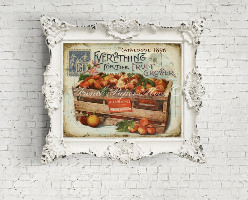 May include: A vintage advertisement for a fruit grower, featuring a crate of peaches and the text "Everything for the Fruit Grower. Catalogue 1896."
