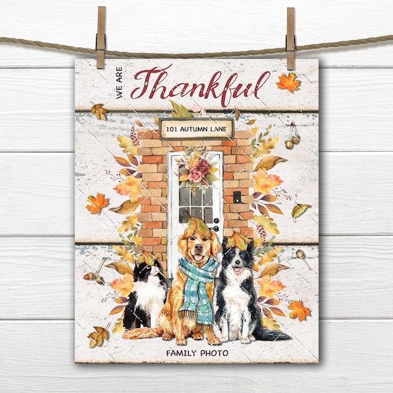 Thanksgiving Friends, Autumn Scene, Leaves, Front Door, Thankful, Fall Pets, Golden Retriever, Cats, Decor Sign, Fabric Transfer, Digital