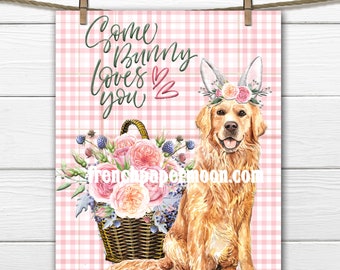 Golden Retriever Easter Print, Somebunny loves you. Digital, Bunny Ears, Easter Pillow Image, Dog Easter Graphic, Transparent, Sublimation