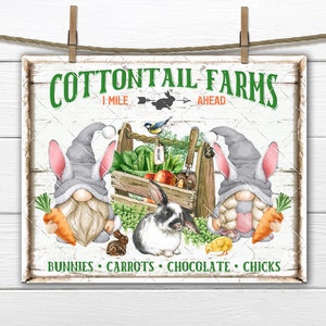 Easter Gnome DIY Sign, Cottontail Farms, Farmhouse, Carrots, Fabric Transfer, Tiered Tray Decor, Wreath Accent, Digital Print, U Print, PNG