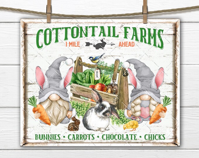 Easter Gnome DIY Sign, Cottontail Farms, Farmhouse, Carrots, Fabric Transfer, Tiered Tray Decor, Wreath Accent, Digital Print, U Print, PNG