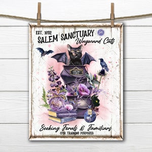 May include: A vintage-style sign with a pink background and white lettering. The sign reads "EST. 1692 SALEM SANCTUARY Wayward Cats."  A black cat with bat wings sits on top of a cauldron with the words "STAY FOR A SPELL."  The sign also features a variety of other witchy items, including potions, books, and flowers. The text at the bottom of the sign reads "Seeking Ferals & Familiars (FOR TRAINING PURPOSES)."