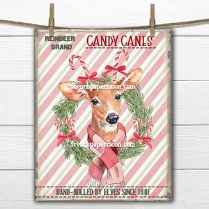 Adorable Christmas Reindeer, Candy Cane, Pink Xmas Print, Baby Deer, Reindeer Brand, DIY Xmas Sign, Christmas Pillow, Digital, Transparent