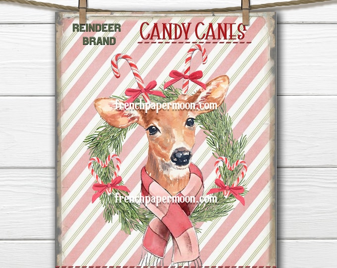 Adorable Christmas Reindeer, Candy Cane, Pink Xmas Print, Baby Deer, Reindeer Brand, DIY Xmas Sign, Christmas Pillow, Digital, Transparent