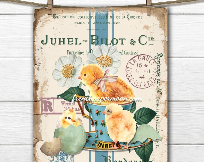 French digital Spring Chicks, Cup of Chicks, French Graphics, Daisies, Teacup, Pillow Image, Large Image Graphic Transfer, Crafts