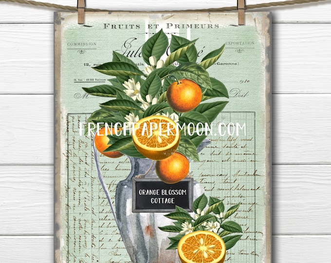 French Fruit Graphic, Vintage Oranges, Orange Blossom, Cut Orange, Pillow Image, Fruit Pillow Image, Fabric Transfer, Digital Image