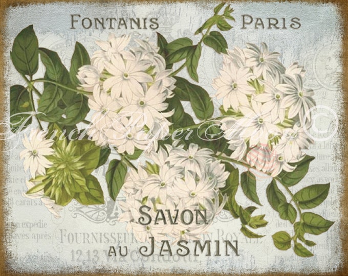 Vintage Digital Download, Shabby French Jasmine Botanical Print, Botanical Flower Download, Digital Jasmine, Savon Printable