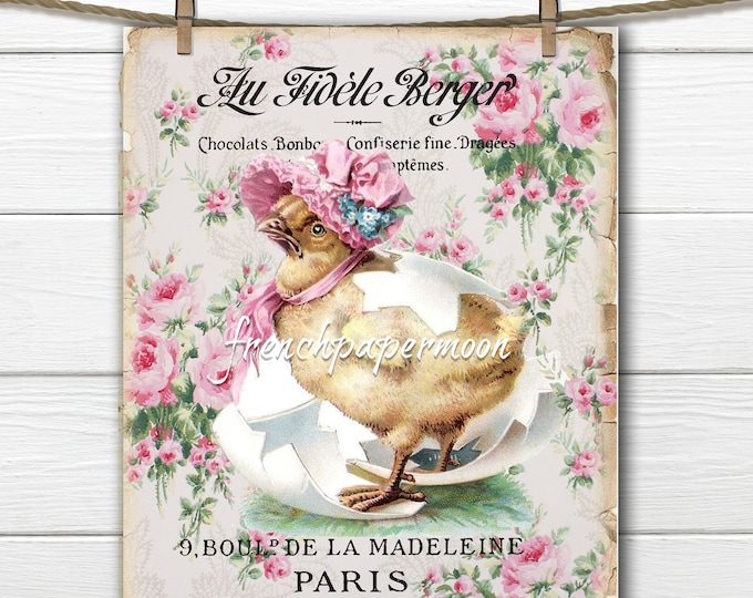 French Shabby Easter Chick Large Image Instant Digital Download Printable Antique Style Chick Graphic Transfer Victorian Scrap