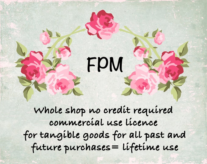Lifetime Whole Shop Commercial use License for Tangible Goods sold on Etsy < 500