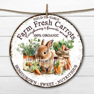 Round Easter Bunny Carrot Patch Rustic DIY Sign Making Fabric Transfer PNG Sublimation Home Decor Print Digital Download Wreath Accent