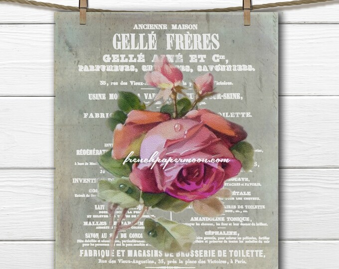 Vintage Shabby French Graphic Rose Digital, French Pillow Image, French Craft Supply, Victorian Rose, Large Image