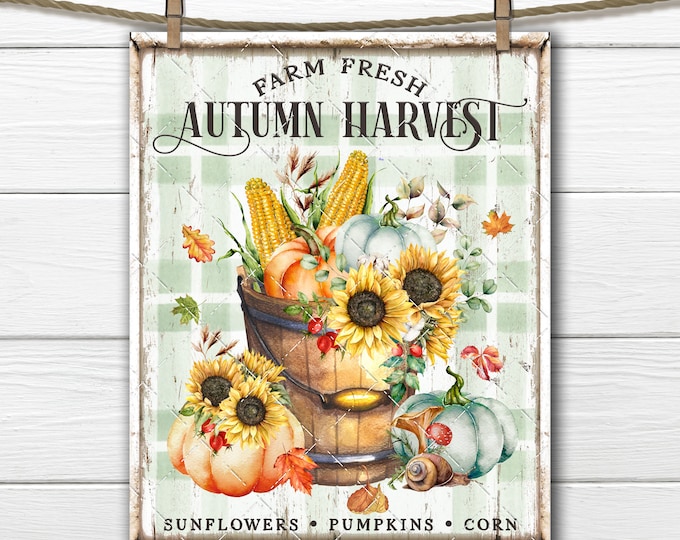 Autumn Harvest DIY Sign, Sunflowers, Pumpkins, Wooden Bucket, Farmhouse Fall, Wreath Accent, Fabric Transfer, Tiered Tray Decor, Digital