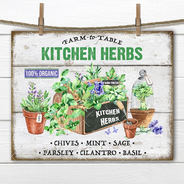 Wall Herb Garden - Etsy