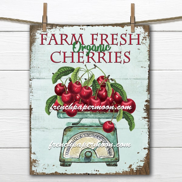 Farmhouse Cherry Digital, Vintage Cherries, Scale, Wood, Shabby Vintage Fruit, Kitchen Cherries, Fabric Transfer, Kitchen Decor Print