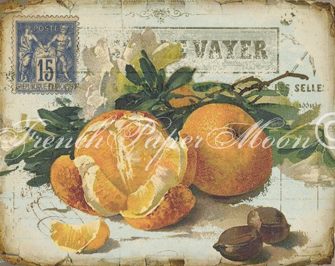 Digital Vintage French Oranges Printable, Vintage Oranges Digital Download, French Graphics with Botanical Oranges, Kitchen Print