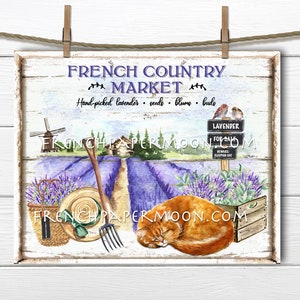 Lavender Farm, Digital, French Country Lavender, Lavender Market, Ginger Cat, Lavender for Sale, Pillow Image, Sublimation, DIY Sign