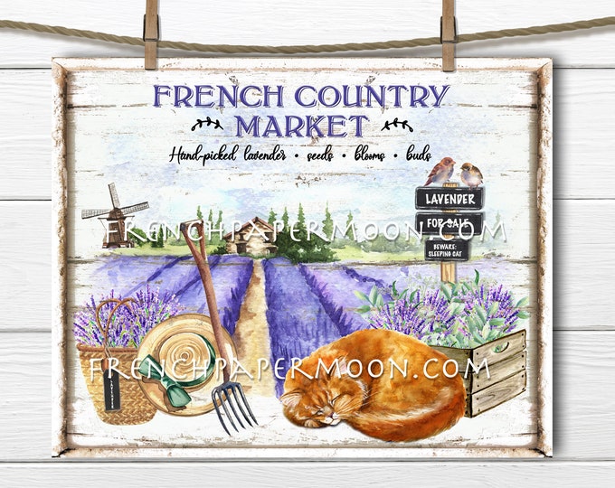 Lavender Farm, Digital, French Country Lavender, Lavender Market, Ginger Cat, Lavender for Sale, Pillow Image, Sublimation, DIY Sign