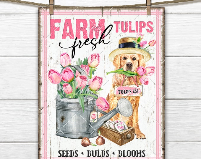 Farm Fresh Flower Market, Pink Tulips, Golden Retriever, Watering Can, Seed Packet, DIY Spring Sign, Fabric Transfer, Tiered Tray Decor PNG