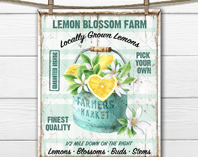 Lemon Blossom Farm Fresh Lemons Summer Fruit DIY Sign Making Fabric Transfer Tiered Tray Home Decor Digital Wreath Accent Teal Plaid  PNG