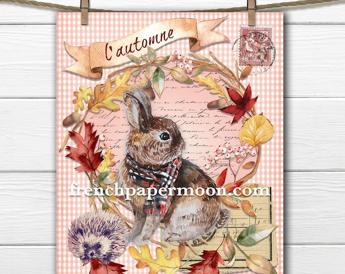 Woodland Bunny Digital, Fall Wreath, Rabbit, Scarf, Hedgehog, French, Dressed Animal, Fabric Transfer, DIY Home Decor Printable, Transparent