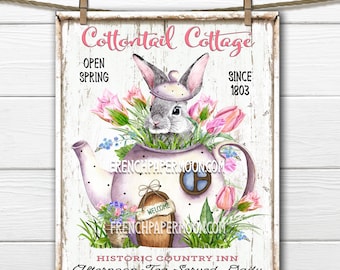 Easter Bunny, Spring Bunny, Garden Bunny, DIY Easter Bunny Sign, Spring Teatime, Floral Easter Pillow Image, Wreath Decor, Wood, Transparent