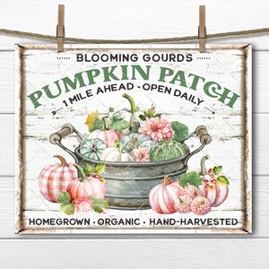 Farmhouse Pumpkin Patch Floral Pumpkins Autumn Pink Pumpkins DIY Sign Making Fabric Transfer Tiered Tray Decor Digital Wreath Accent PNG