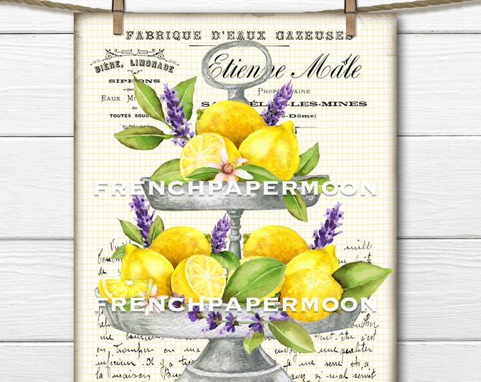 French Lemon Lavender Graphic, Tiered Tray, Watercolor Lemons, Lavender, Farmhouse Kitchen Print, French Pillow, Sublimation, Transparent