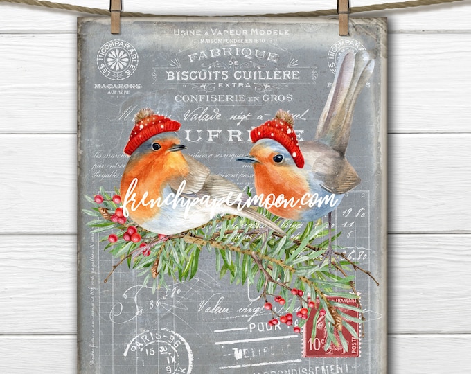 Adorable Winter Bird Digital, Dressed Birds, French Christmas Birds, French Pillow Image, DIY Xmas Sign, Wreath Decor, Tiered Tray, Print