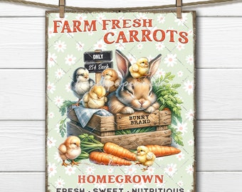 May include: A vintage-style sign with a green background and white daisies. The sign says "Farm Fresh Carrots" and features a brown bunny rabbit with baby chicks. The sign also says "Bunny Brand" and "Homegrown Fresh Sweet Nutritious".